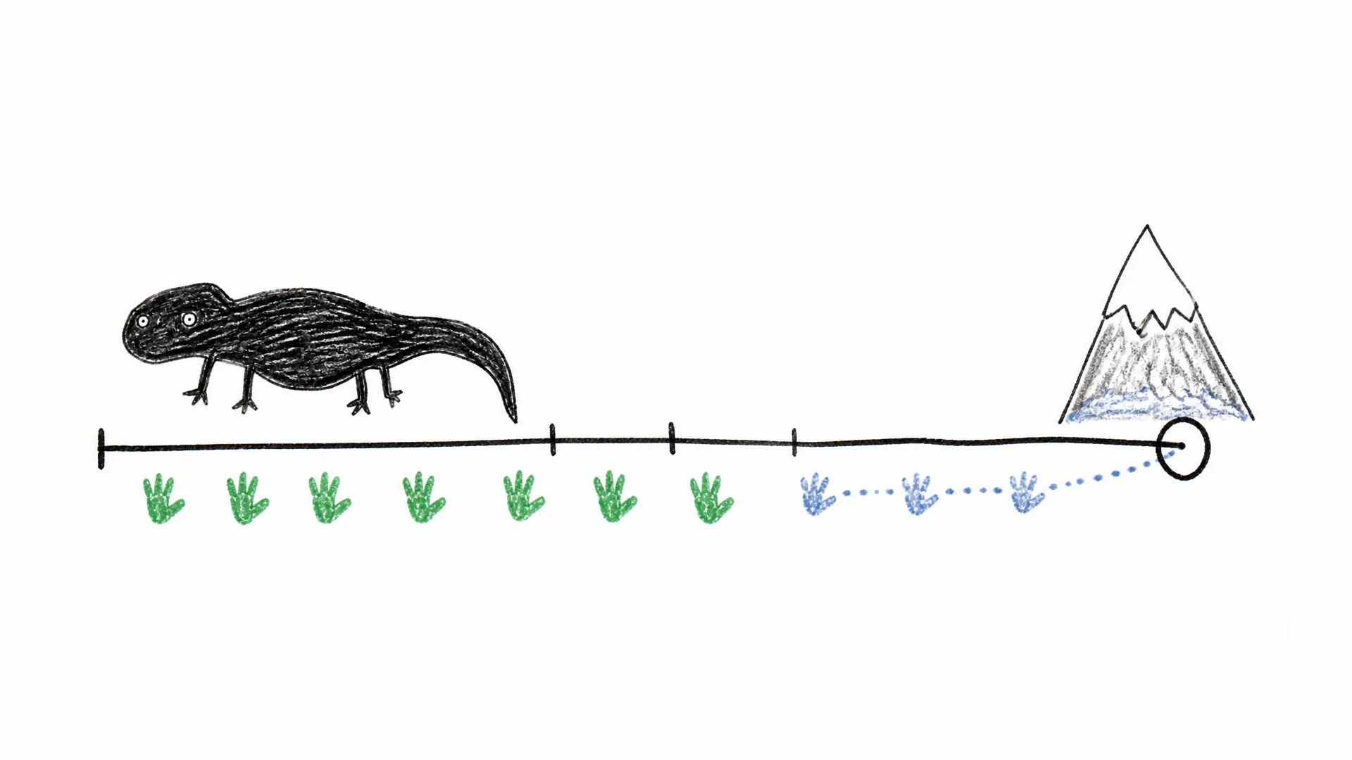 A salamander gestation timeline lengthens toward a cold mountain