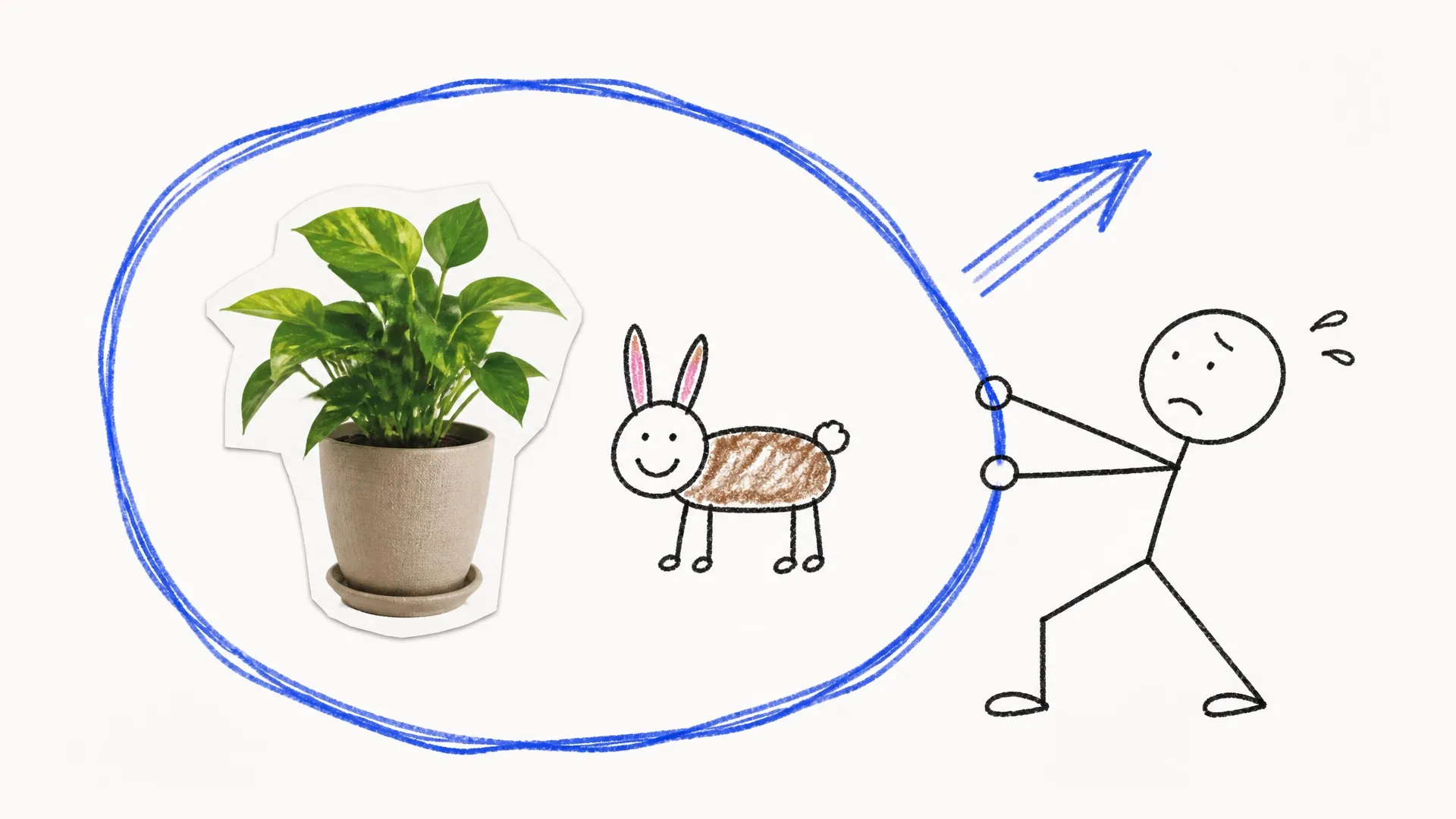 A potted plant and a rabbit sit inside a shared circle while a person considers their value