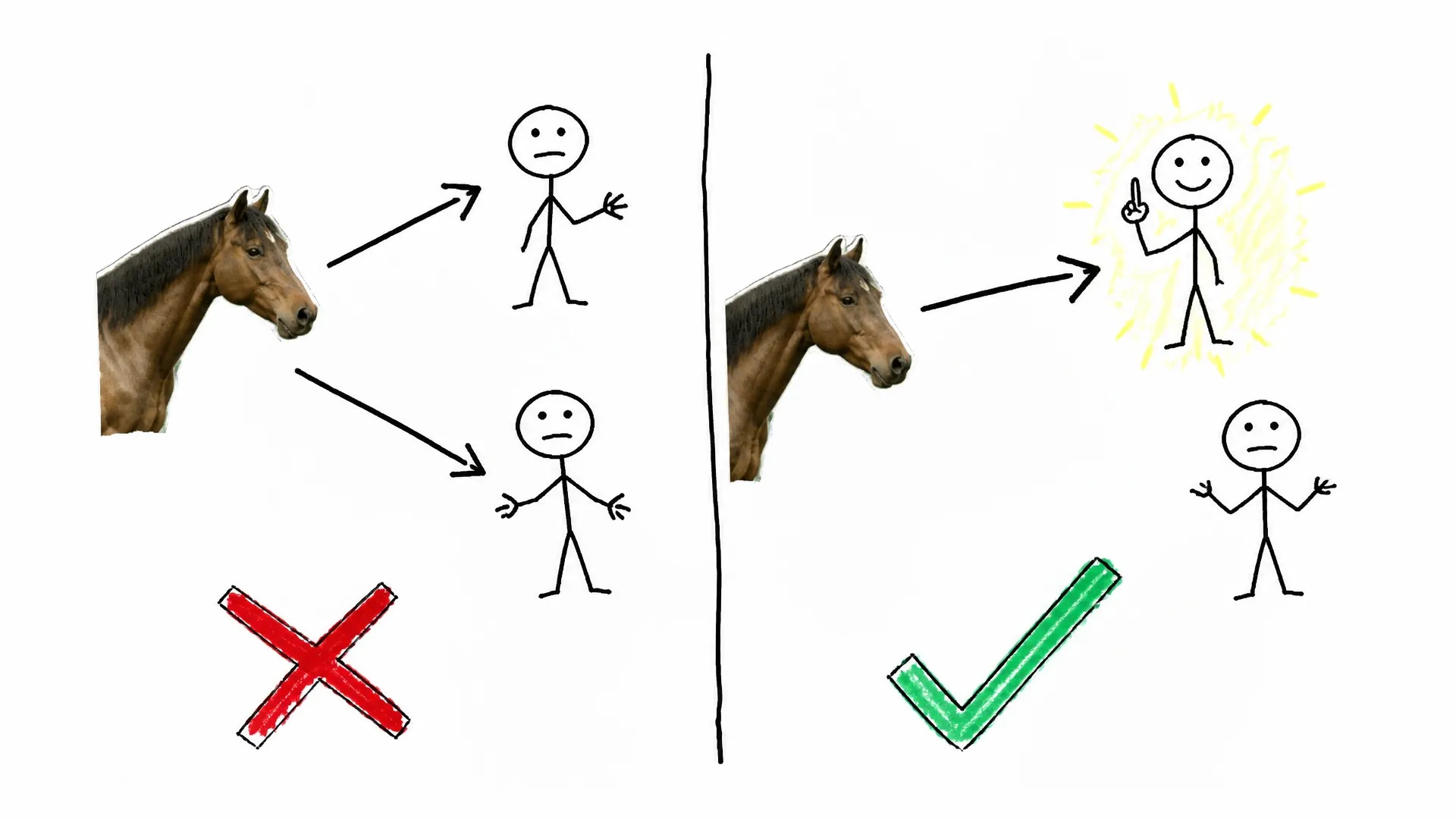 A horse chooses the person who knows where inaccessible food was hidden