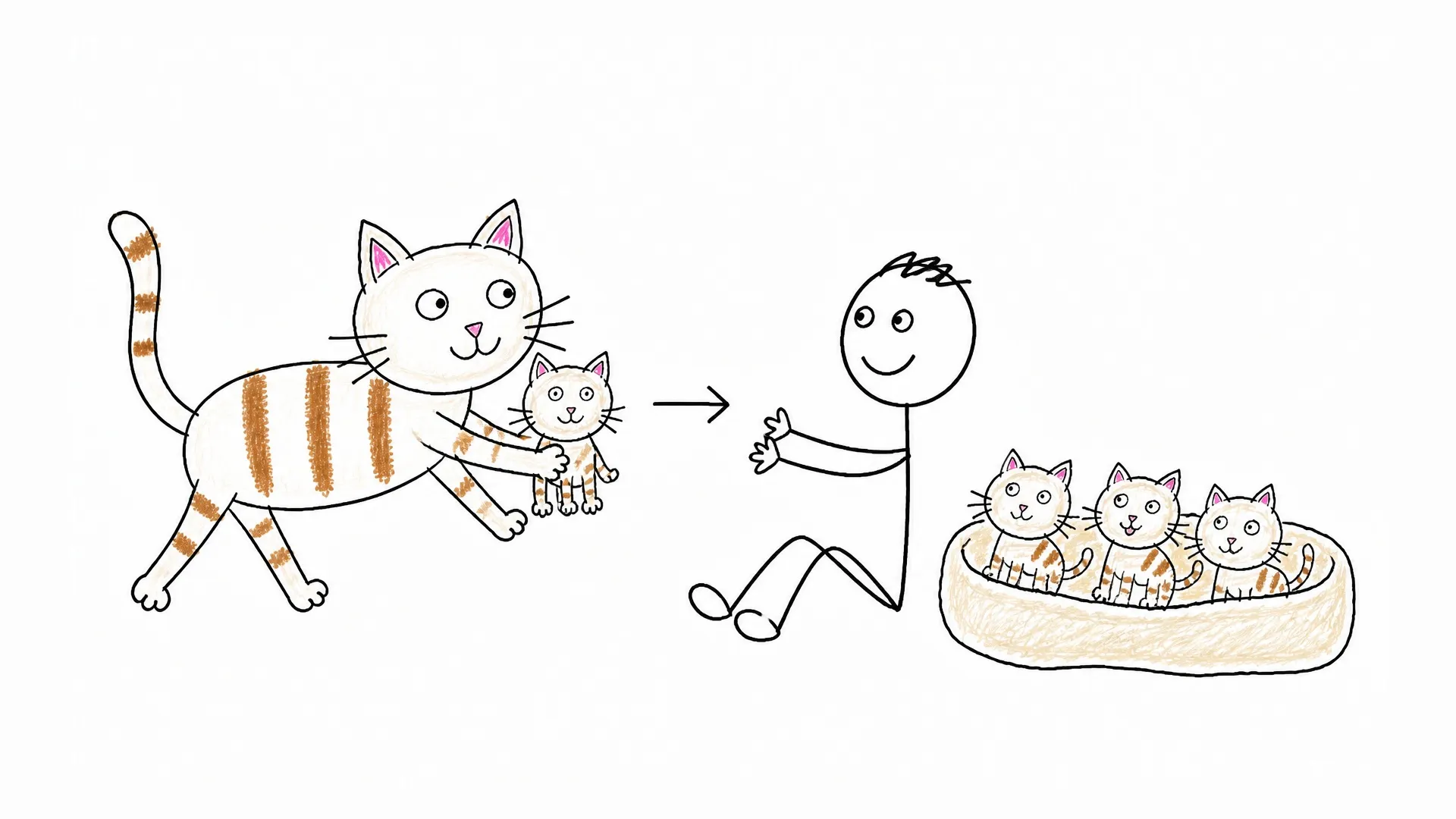 A mother cat carries a kitten toward a familiar person beside three kittens in a warm bed