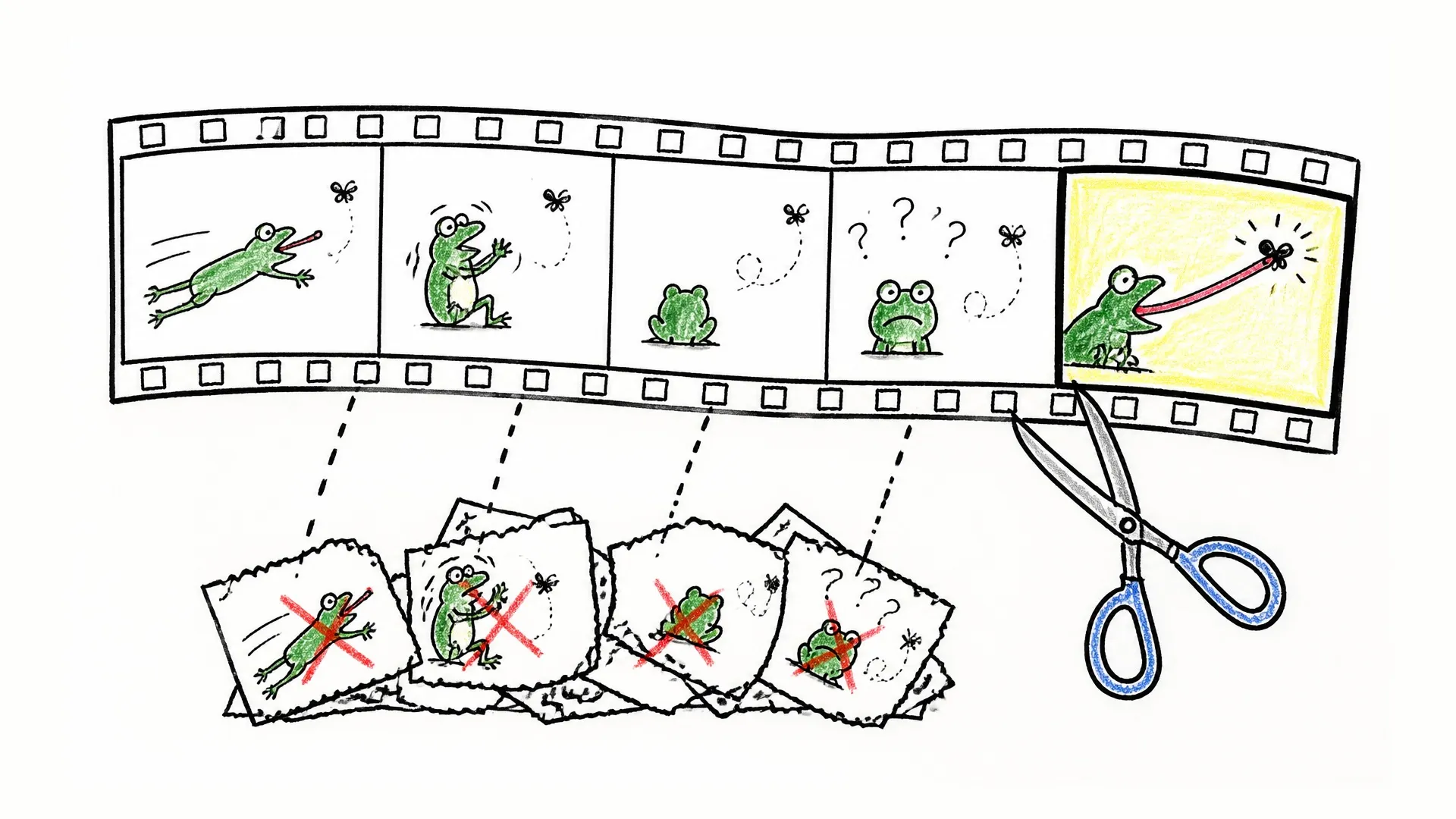 A film strip keeps one clear frog-catching frame after several uncertain frames are cut away