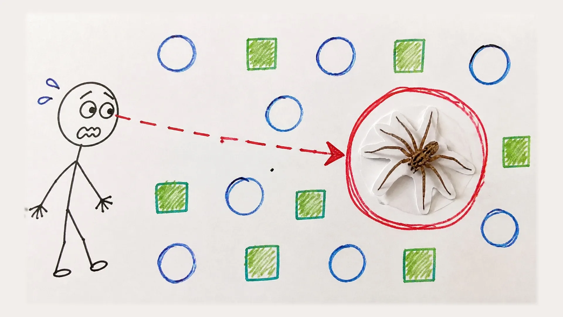 A person notices a spider highlighted among harmless circles and squares